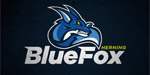 VOLF BAND - BLUE FOX